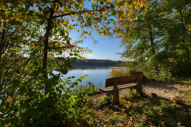 决定因素 决定因素