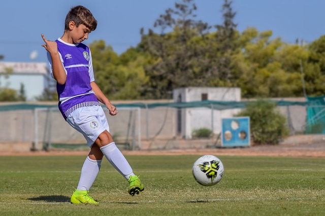 有所回升 有所回升